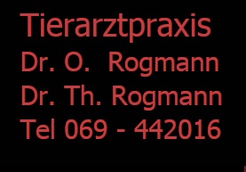 zu der Homepage Dr. Rogmann